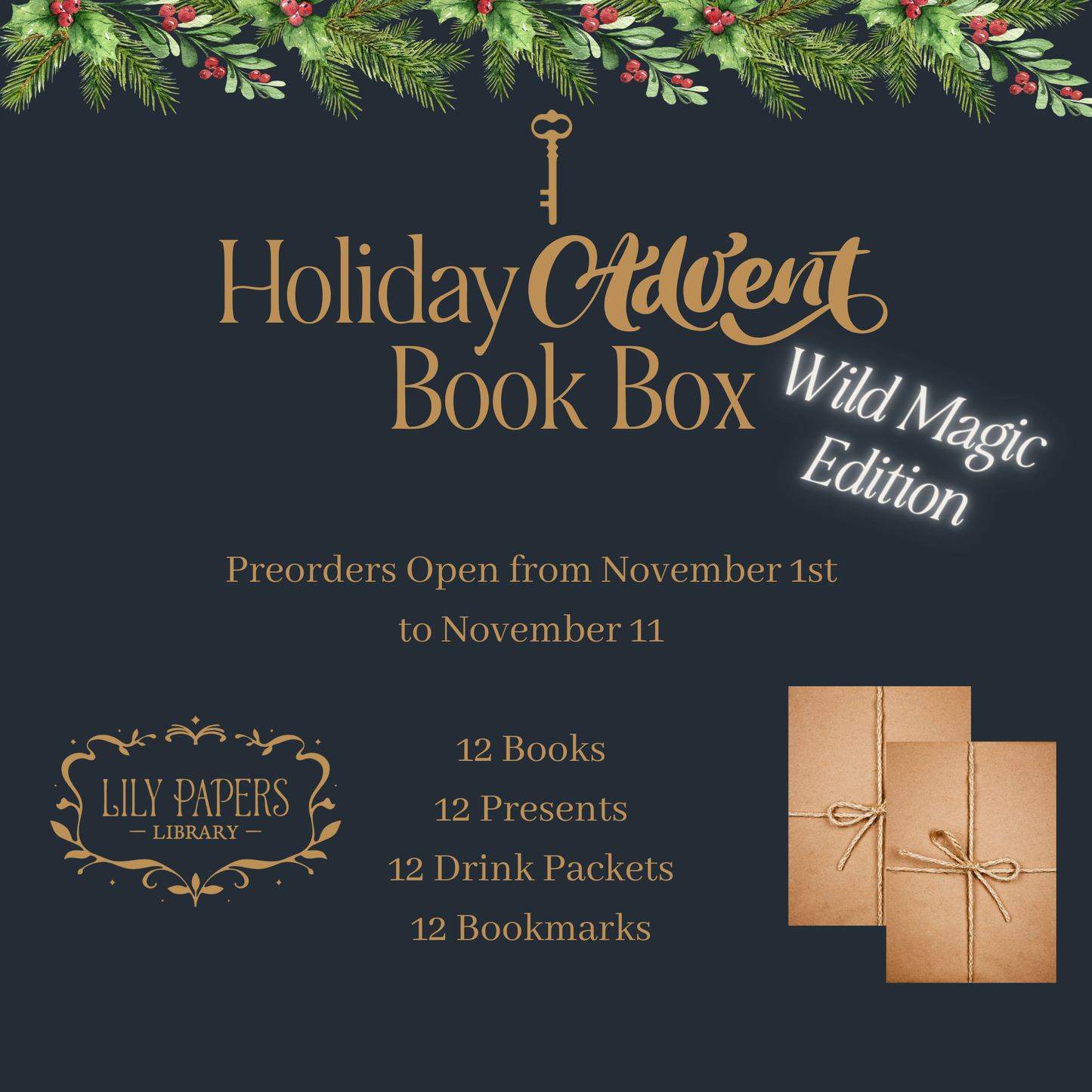 Holiday Advent Book Box - Wild Magic Edition